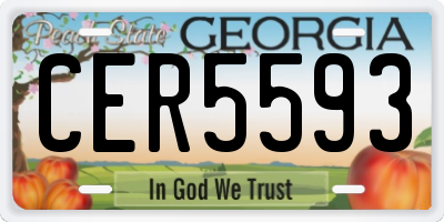 GA license plate CER5593