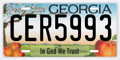 GA license plate CER5993
