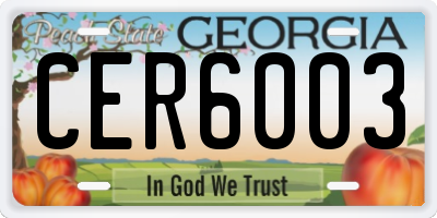 GA license plate CER6003