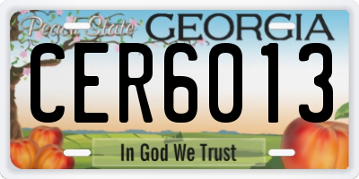 GA license plate CER6013