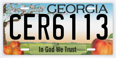 GA license plate CER6113
