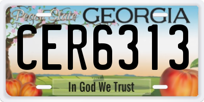 GA license plate CER6313