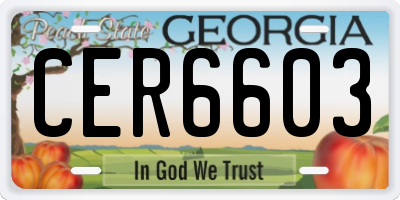 GA license plate CER6603