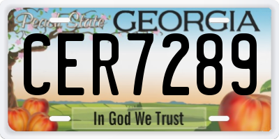 GA license plate CER7289