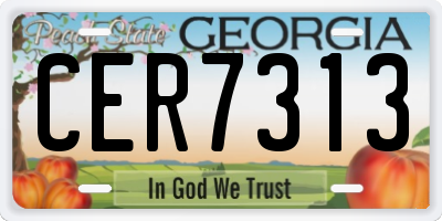 GA license plate CER7313