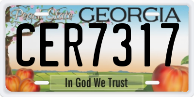 GA license plate CER7317