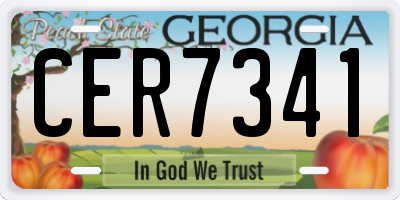 GA license plate CER7341