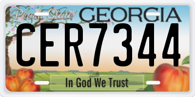 GA license plate CER7344