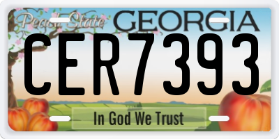 GA license plate CER7393