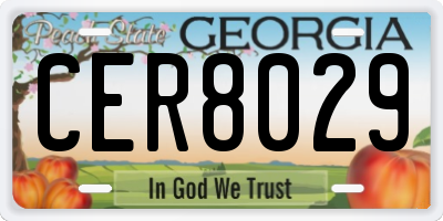 GA license plate CER8029
