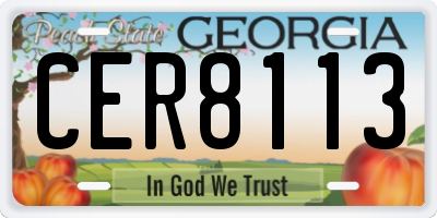 GA license plate CER8113