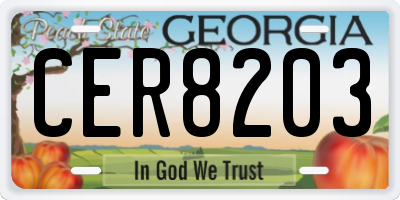 GA license plate CER8203