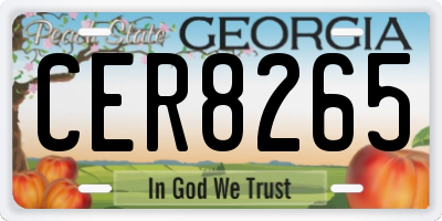 GA license plate CER8265