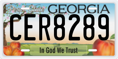 GA license plate CER8289