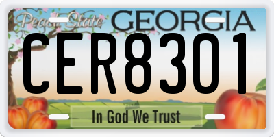 GA license plate CER8301
