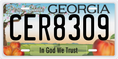 GA license plate CER8309