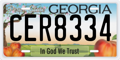 GA license plate CER8334