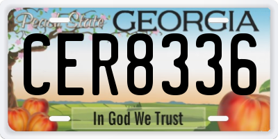 GA license plate CER8336