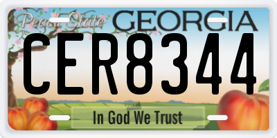 GA license plate CER8344