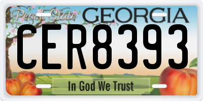 GA license plate CER8393