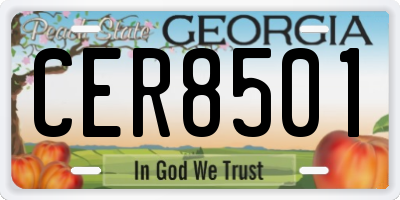 GA license plate CER8501