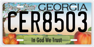 GA license plate CER8503