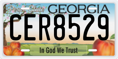 GA license plate CER8529
