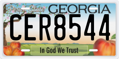 GA license plate CER8544