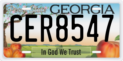 GA license plate CER8547
