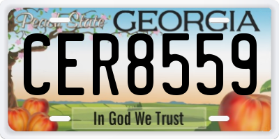 GA license plate CER8559
