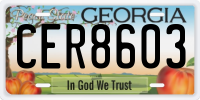 GA license plate CER8603