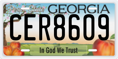 GA license plate CER8609