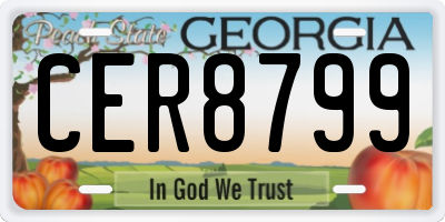 GA license plate CER8799