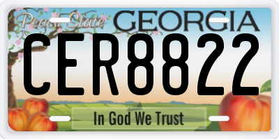 GA license plate CER8822