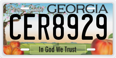 GA license plate CER8929