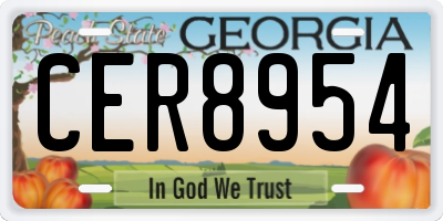 GA license plate CER8954