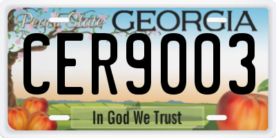 GA license plate CER9003