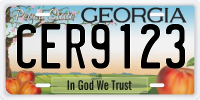 GA license plate CER9123