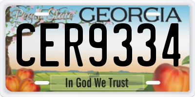 GA license plate CER9334