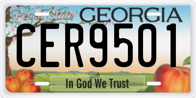 GA license plate CER9501