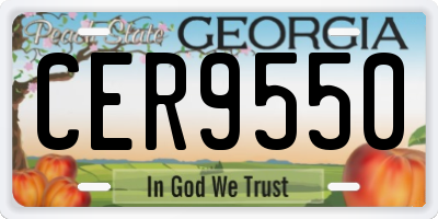 GA license plate CER9550