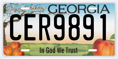 GA license plate CER9891
