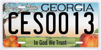 GA license plate CES0013