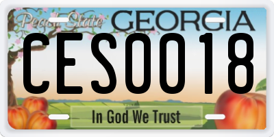 GA license plate CES0018