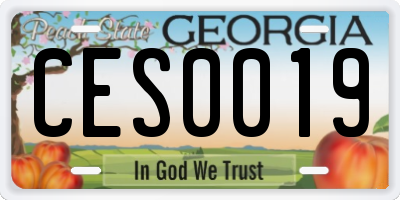 GA license plate CES0019