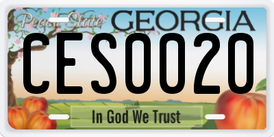 GA license plate CES0020