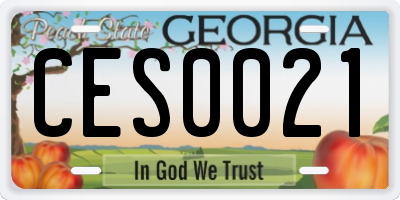 GA license plate CES0021