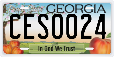GA license plate CES0024