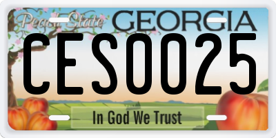 GA license plate CES0025