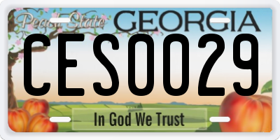 GA license plate CES0029